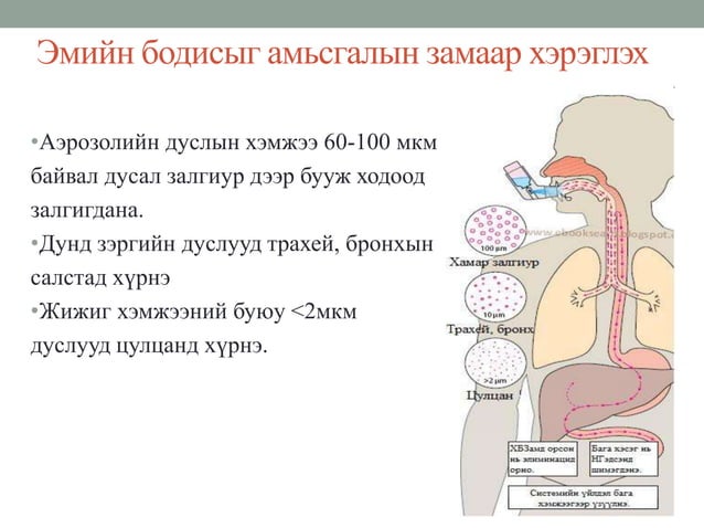 Эмийн бодисыг бие махбодид оруулах зам | PPT