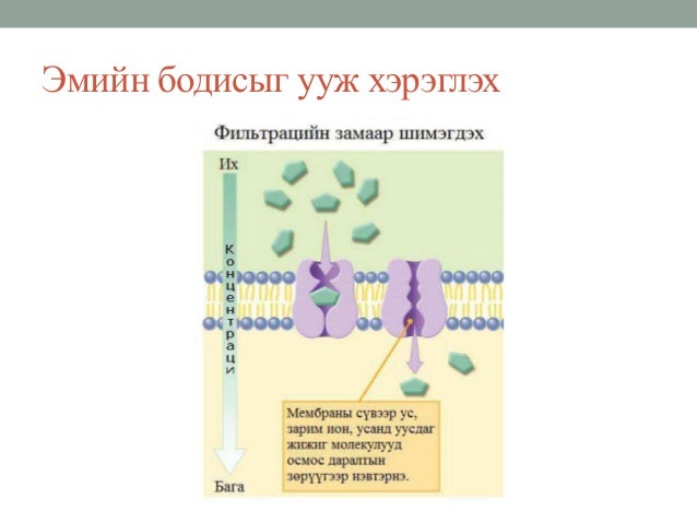 ЭҮИТ102 Авгаандамба: April 2018