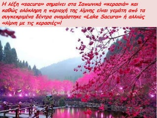 Η ιέλε «sacura» ζεμαίκεη ζηα Ιαπωκηθά «θεναζηά» θαη
θαζώξ μιόθιενε ε πενημπή ηεξ ιίμκεξ είκαη γεμάηε από ηα
ζογθεθνημέκα δέκηνα μκμμάζηεθε «Lake Sacura» ή αιιηώξ
«ιίμκε με ηηξ θεναζηέξ»!
 