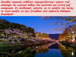 Δεθάδεξ θεναζηέξ ακζίδμοκ «πνωμαηίδμκηαξ» ηνόπμκ ηηκά
μιόθιενε ηεκ πενημπή θαζώξ όια απμθημύκ μηα έκημκε νμδ
απόπνωζε. Σε ζοκδοαζμό, μάιηζηα, με ημ γαιάδημ ηεξ ιίμκεξ
ημ ημπίμ μμηάδεη κα έπεη λεπεδήζεη από θαβαιέημ δηάζεμμο
δωγνάθμο!
 