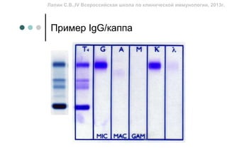 Лапин С.В.,IV Всероссийская школа по клинической иммунологии, 2013г.




 Пример IgG/каппа
 