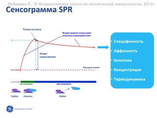 Лебедева Л., IV Всероссийская школа по клинической иммунологии, 2013г.
Сенсограмма SPR

           Точка отсчета
                                        Форма кривой показывает
                                        кинетику взаимодействий

                                                                        • Специфичность

                                                                        • Аффинность
                       Ответ
                       связывания
                                                                        • Кинетика
                                                        Базовая линия
                                                                        • Концентрация

                                                                        • Термодинамика
         ассоциация                 диссоциация




 буфер     образец                   буфер
 
