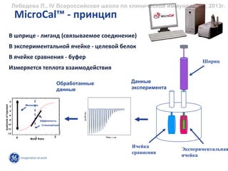 Лебедева Л., IV Всероссийская школа по клинической иммунологии, 2013г.
                              MicroCal™ ‐ принцип
                         В шприце ‐ лиганд (связываемое соединение)
                         В экспериментальной ячейке ‐ целевой белок
                         В ячейке сравнения ‐ буфер
                                                                                                Шприц
                         Измеряется теплота взаимодействия

                                                           Обработанные   Данные
                                                           данные         эксперимента

                         0
                                   Механизм
kcal/mole of injectant




                         -2

                         -4

                         -6

                         -8                   Аффинность
                 -10                           Стехиометрия
                 -12

                 -14
                               0         1             2
                                      Molar Ratio


                                                                          Ячейка
                                                                                         Экспериментальная
                                                                          сравнения
                                                                                         ячейка
 