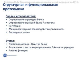 Лебедева Л., IV Всероссийская школа по клинической иммунологии, 2013г.
Структурная и функциональная
протеомика
 Задачи исследователя:
 •   Определение структуры белка
 •   Определение функций белка / антитела
 •   Регуляция
 •   Межмолекулярные взаимодействия/активность
 •   Биофармакология


 Этапы:
 • Пробоподготовка ‐ Очистка белка
 • Разделение с высоким разрешением / Анализ cтруктуры
 • Анализ функции
 