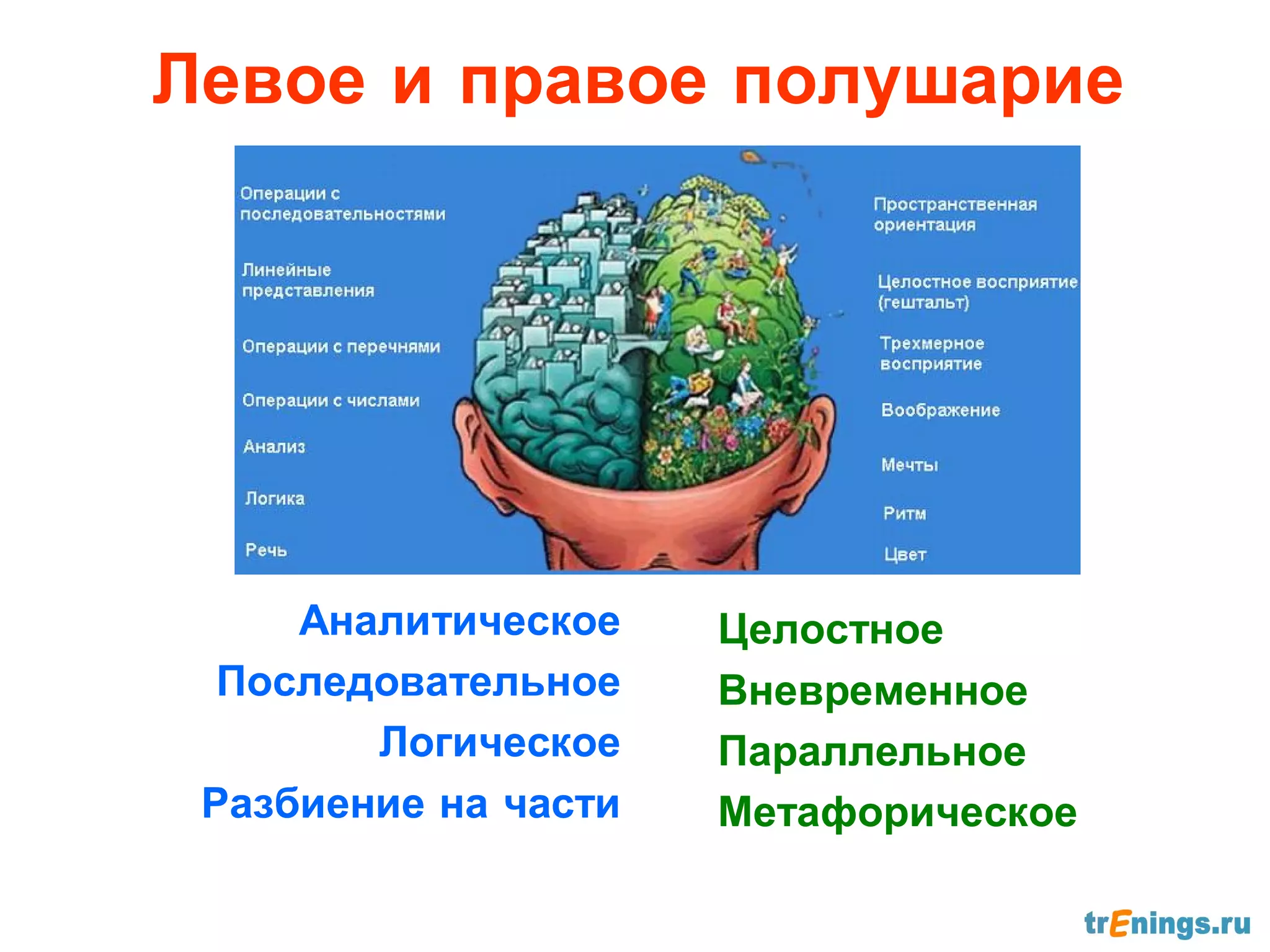 Левое и правое полушарие




     Аналитическое    Целостное
  Последовательное    Вневременное
        Логическое    Параллельное
 Разбиение на части   Метафорическое
 