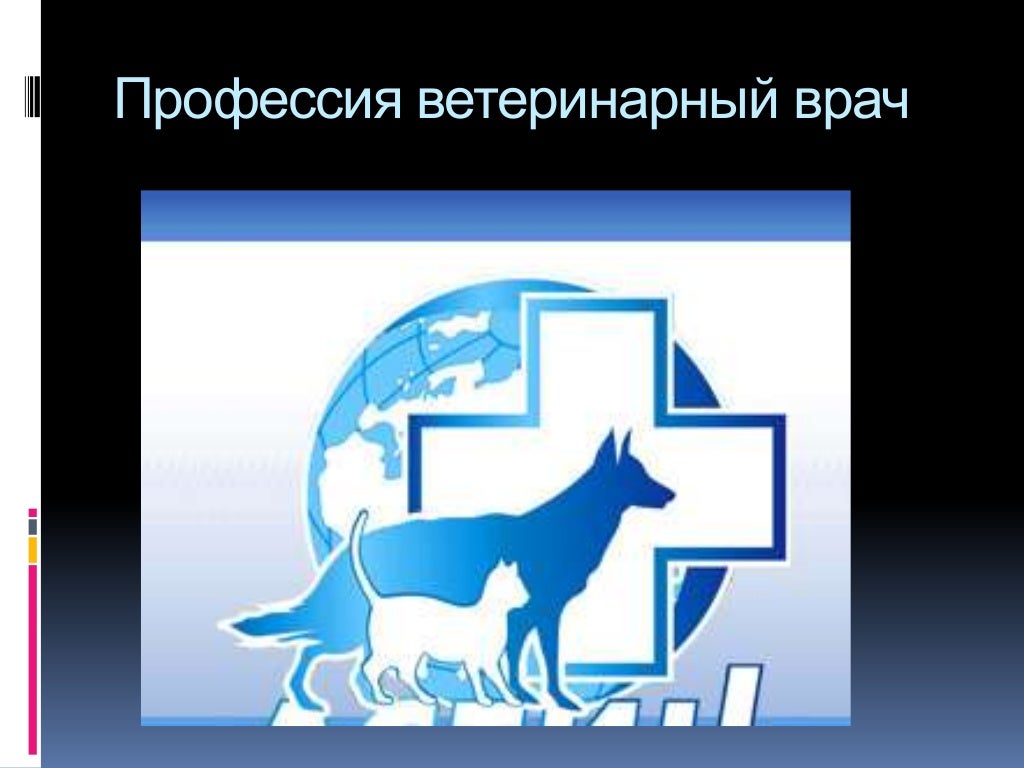 Веста ветеринарная программа