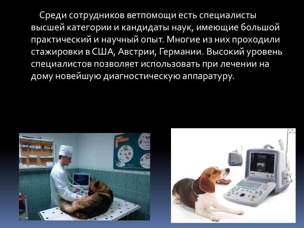 Ветеринарная клиника