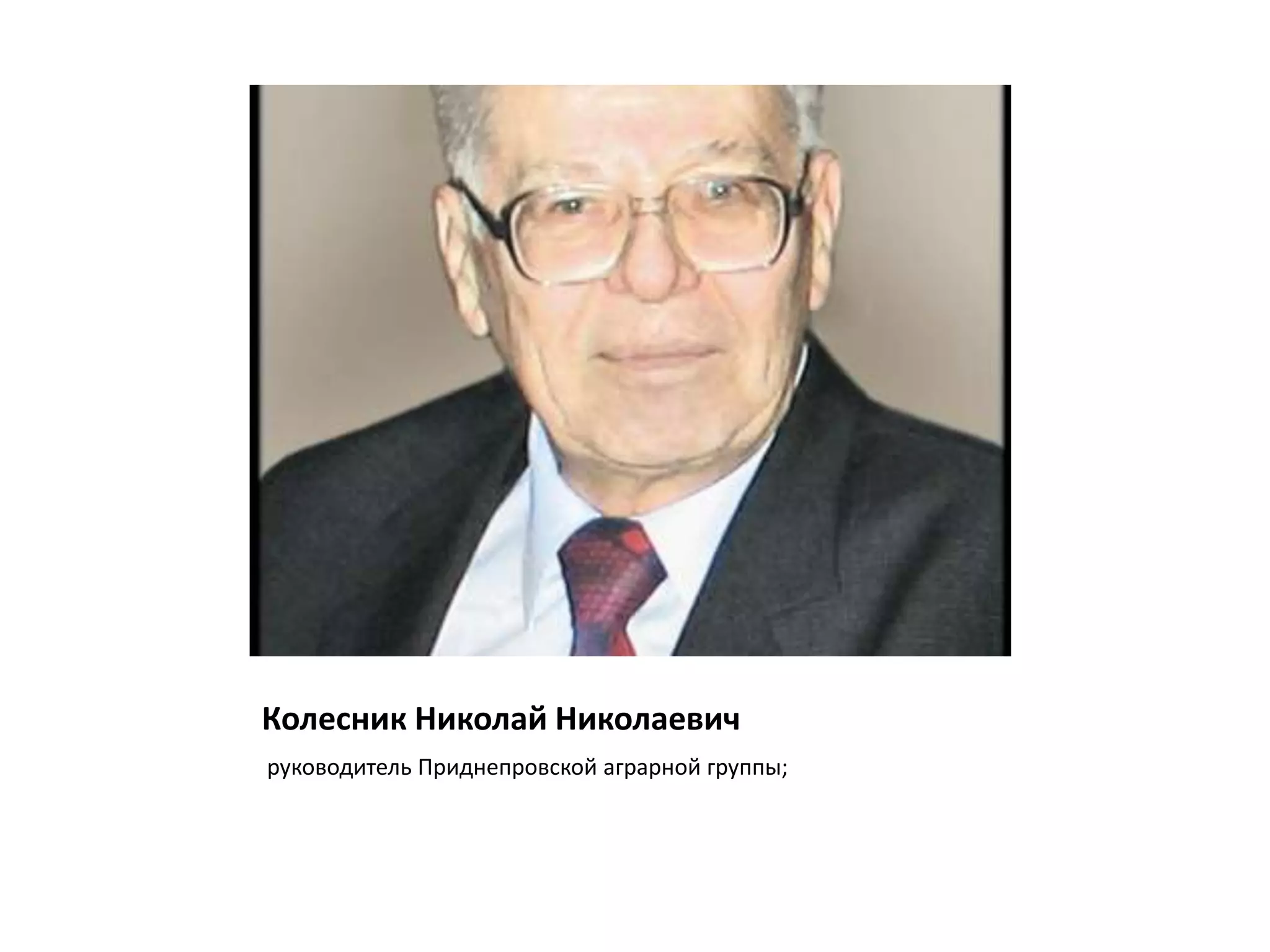 Колесник Николай Николаевич
руководитель Приднепровской аграрной группы;
 
