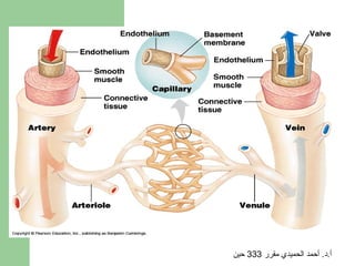 ‫أ.د. أحمد الحميدي مقرر 333 حين‬
 