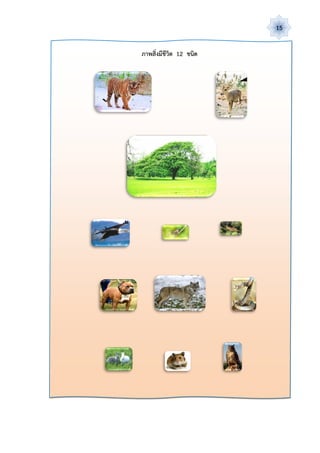 15


ภาพสิ่งมีชีวิต 12 ชนิด
 