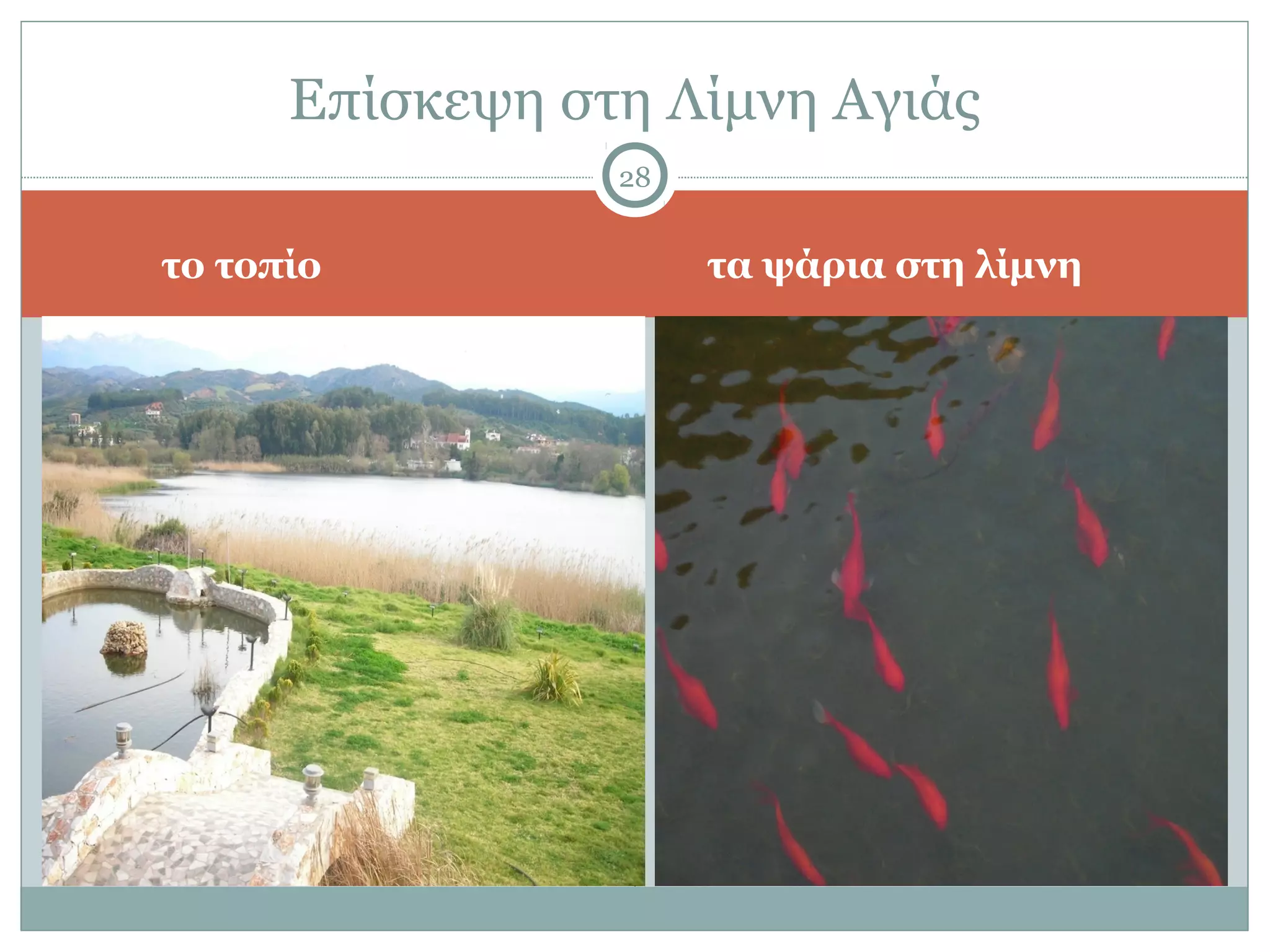 Επίσκεψη στη Λίμνη Αγιάς
                 28


το τοπίο              τα ψάρια στη λίμνη
 