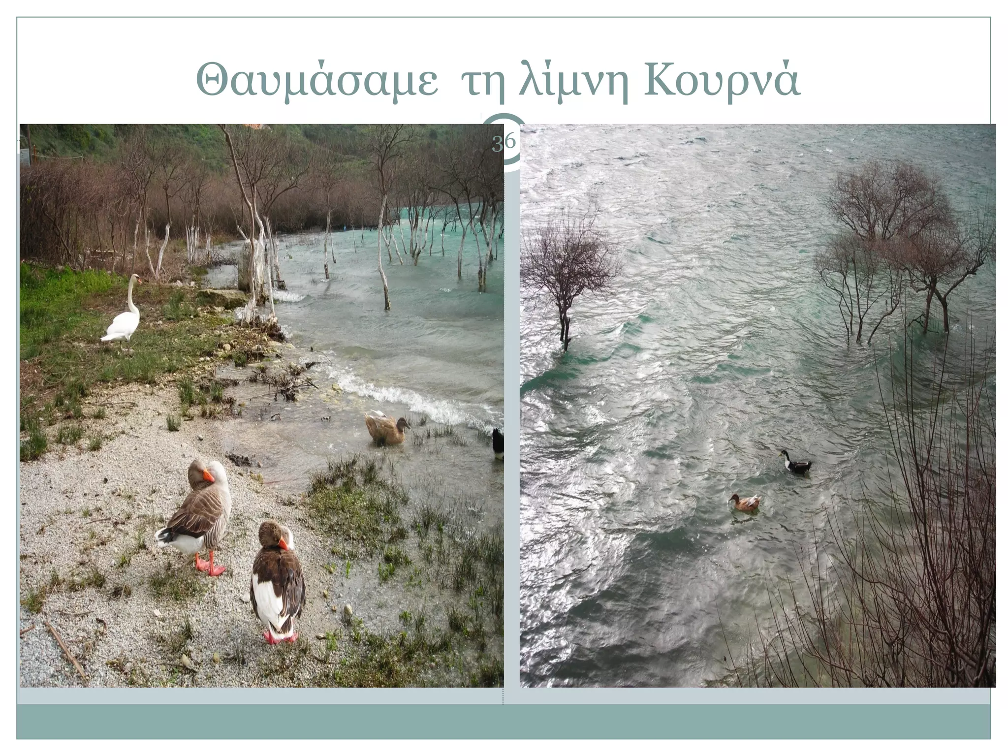 Θαυμάσαμε τη λίμνη Κουρνά
            36
 