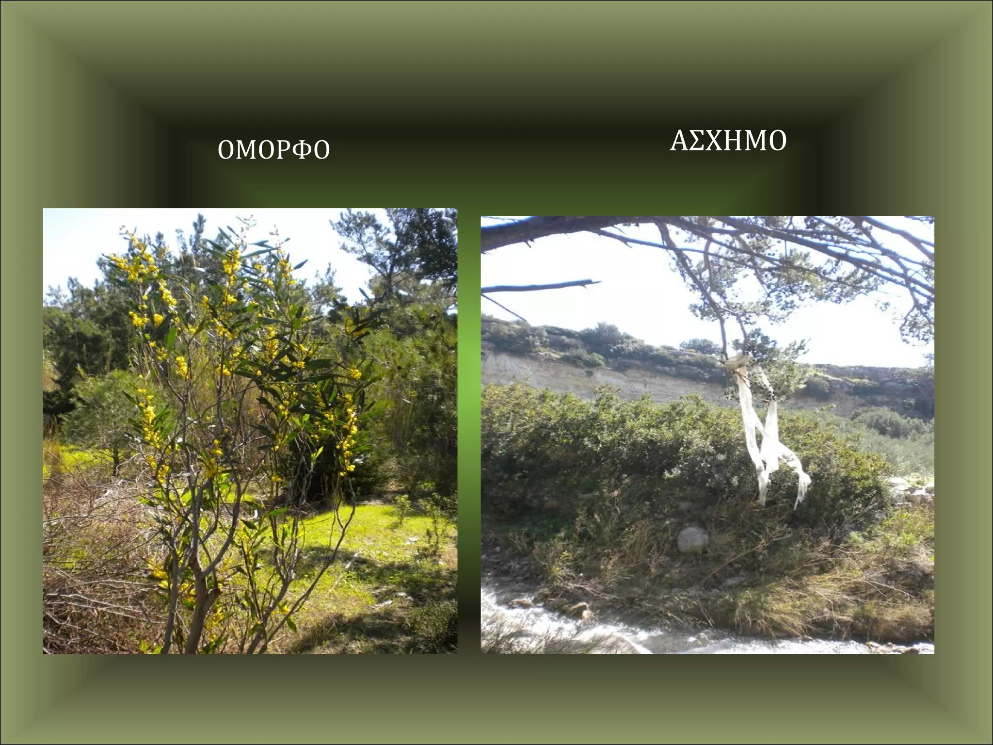 ΟΜΟΡΦΟ   ΑΣΧΗΜΟ
 