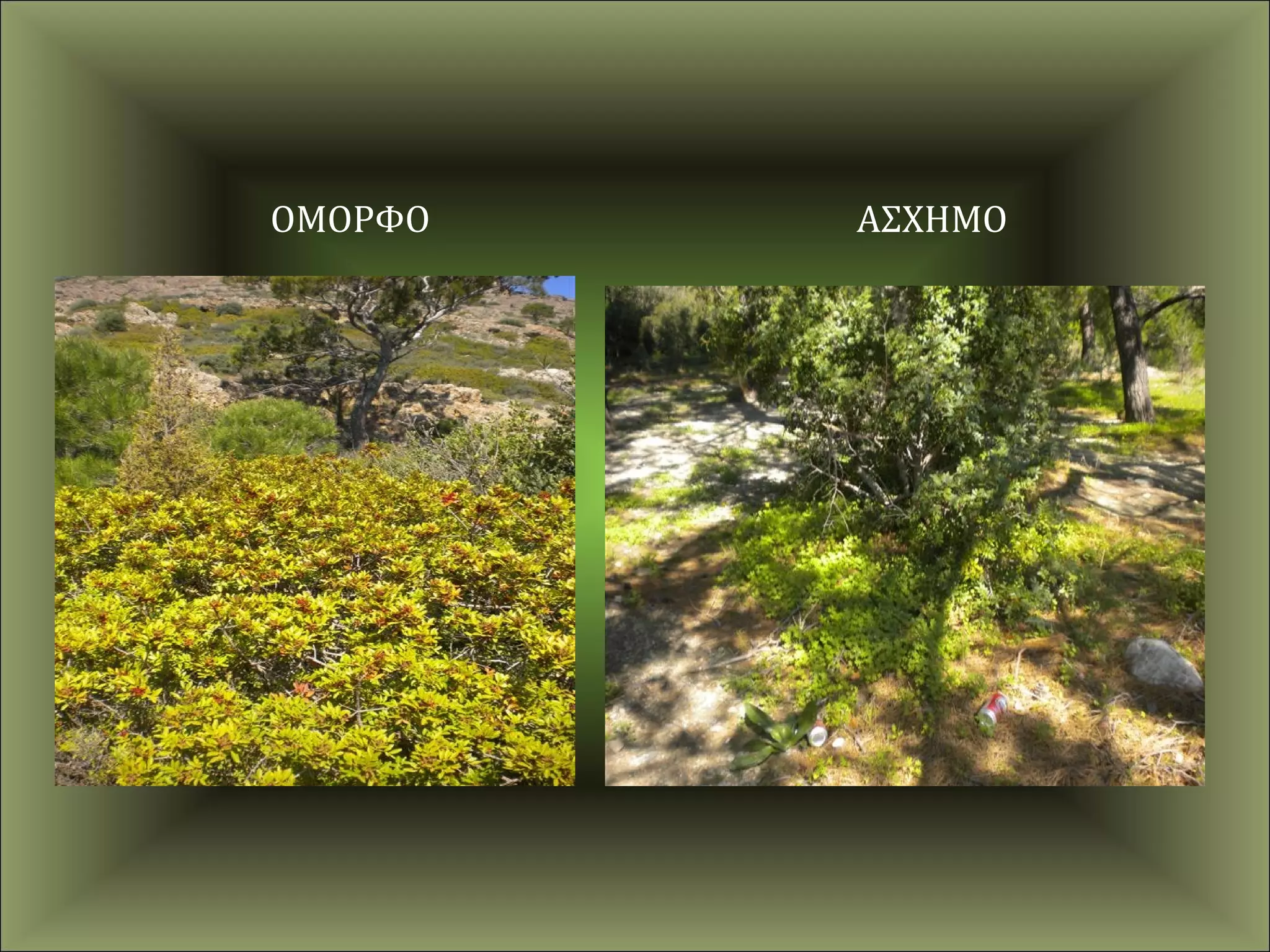 ΟΜΟΡΦΟ   ΑΣΧΗΜΟ
 