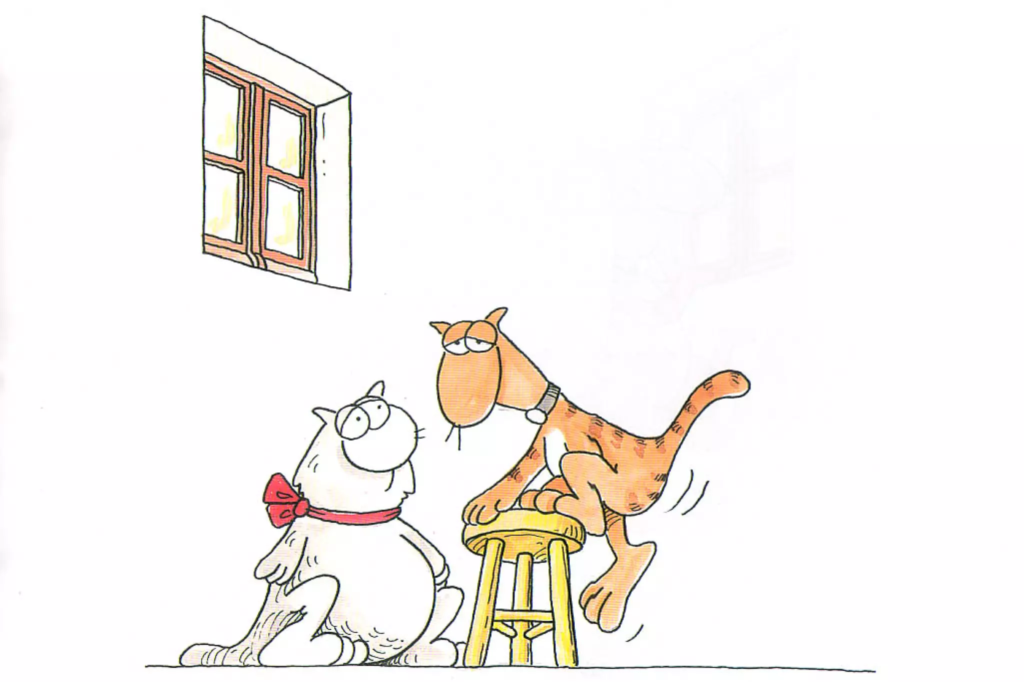 καστράτο   όσο πατάει η γάτα