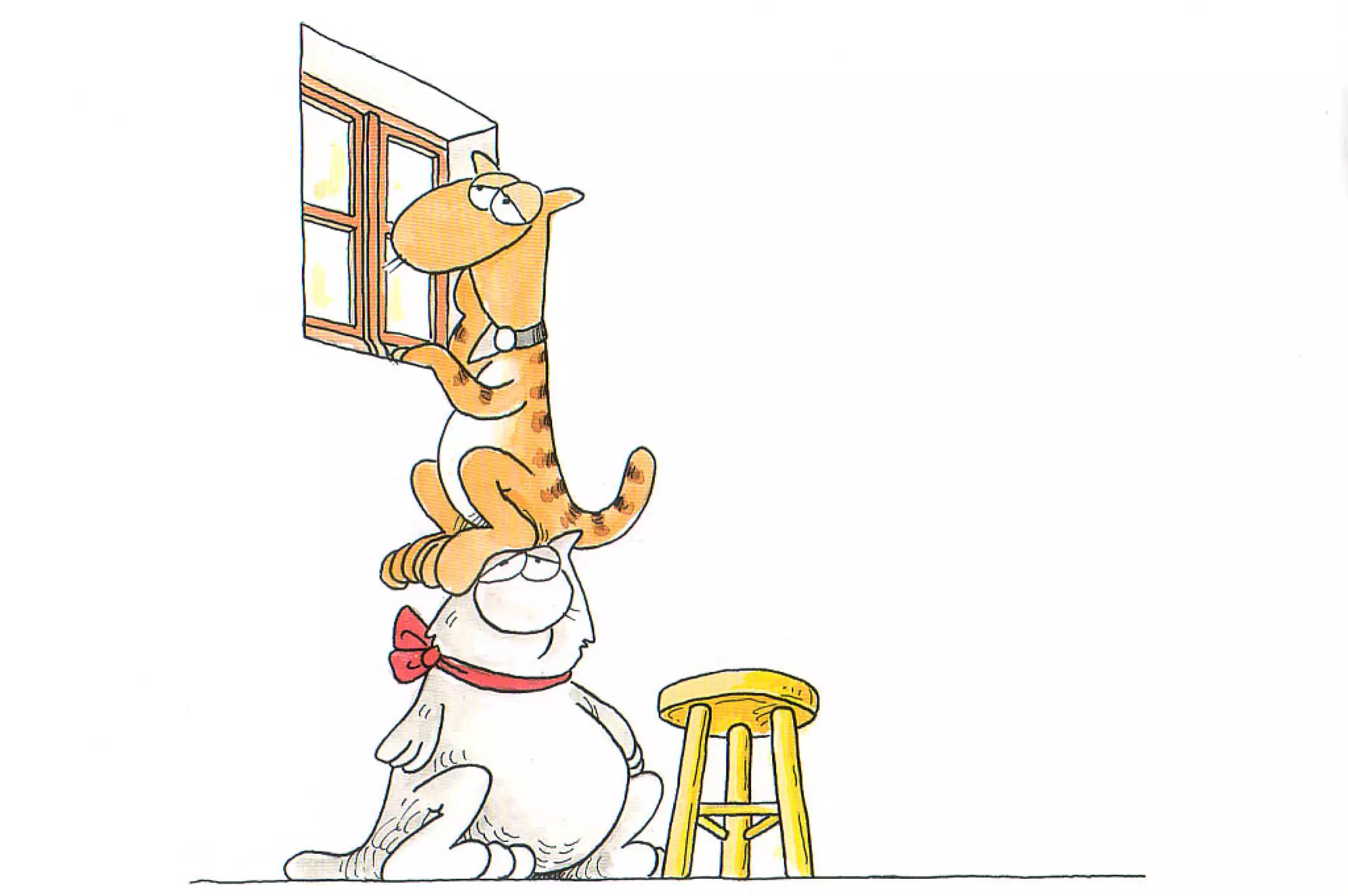 καστράτο   όσο πατάει η γάτα