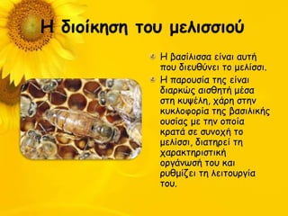 Η διξίκηζη ηξρ μελιζζιξύ
              Η βαζίιηζζα είκαη αοηή
              πμο δηεοζύκεη ημ μειίζζη.
              Η πανμοζία ηεξ είκαη
              δηανθώξ αηζζεηή μέζα
              ζηε θορέιε, πάνε ζηεκ
              θοθιμθμνία ηεξ βαζηιηθήξ
              μοζίαξ με ηεκ μπμία
              θναηά ζε ζοκμπή ημ
              μειίζζη, δηαηενεί ηε
              παναθηενηζηηθή
              μνγάκςζή ημο θαη
              νοζμίδεη ηε ιεηημονγία
              ημο.
 