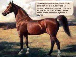 Лошади различаются по масти — это
означает, что они бывают разных
цветов. Например, вороная — то есть
черная масть, еще рыжая и гнедая.
Также серая, саврасая, буланая и
другие.
 