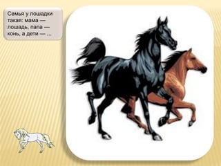 Семья у лошадки
такая: мама —
лошадь, папа —
конь, а дети — ...
 