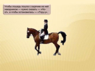 Чтобы лошадь пошла с сидячим на ней
наездником — нужно сказать — «Но-
о!», а чтобы остановилась — «Тпру-у».
 