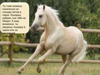 Ты тоже можешь
покататься на
лошади летом в
парке. Лошадка
добрая, она тебя не
обидит. А еще,
возможно, ты
увидишь лошадку в
цирке или на
настоящей
конюшне.
 