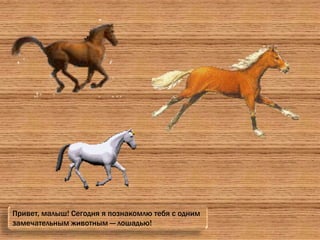 Привет, малыш! Сегодня я познакомлю тебя с одним
замечательным животным — лошадью!
 