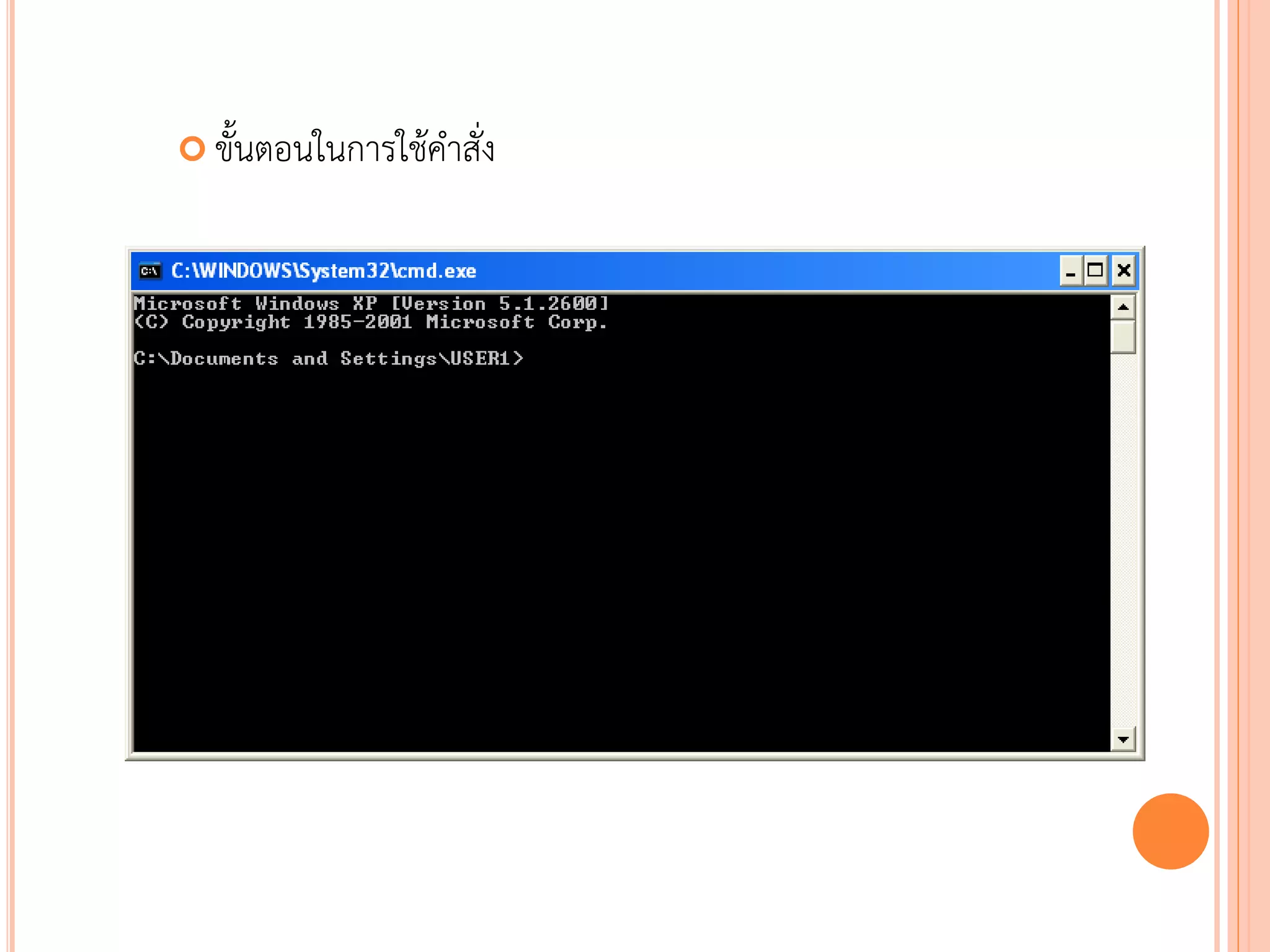 ขั้นตอนในการใช้คาสั่ง




                          80
 