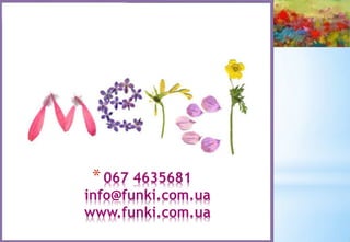 * 067 4635681
info@funki.com.ua
www.funki.com.ua
 