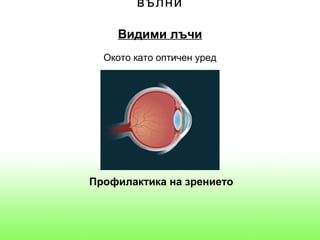 вълни

    Видими лъчи
  Окото като оптичен уред




Профилактика на зрението
 