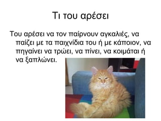 Τι του αρέσει
Του αρέσει να τον παίρνουν αγκαλιές, να
 παίζει με τα παιχνίδια του ή με κάποιον, να
 πηγαίνει να τρώει, να πίνει, να κοιμάται ή
 να ξαπλώνει.
 