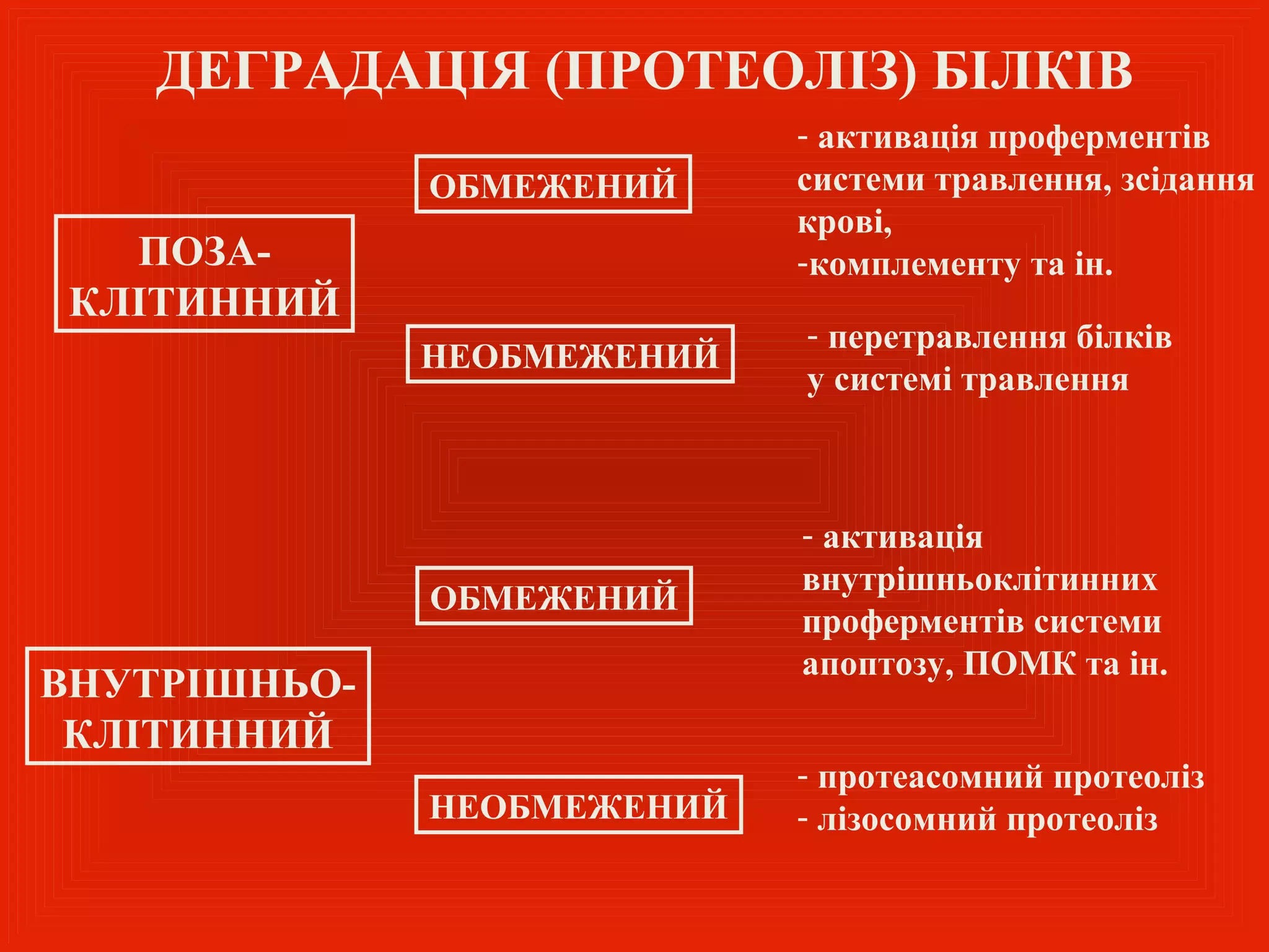 ДЕГРАДАЦІЯ (ПРОТЕОЛІЗ) БІЛКІВ
                            - активація проферментів
              ОБМЕЖЕНИЙ     системи травлення, зсідання
                            крові,
   ПОЗА-                    -комплементу та ін.
 КЛІТИННИЙ
                            - перетравлення білків
              НЕОБМЕЖЕНИЙ
                            у системі травлення



                            - активація
                            внутрішньоклітинних
              ОБМЕЖЕНИЙ
                            проферментів системи
                            апоптозу, ПОМК та ін.
ВНУТРІШНЬО-
 КЛІТИННИЙ
                            - протеасомний протеоліз
              НЕОБМЕЖЕНИЙ   - лізосомний протеоліз
 