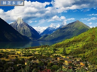 林芝乡 间




  迷
  人
  的
  西
  藏
 