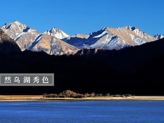 迷
  人
  的
  西
然乌 湖秀色
  藏
 