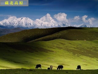 藏北高原




 迷
 人
 的
 西
 藏
 