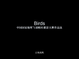Birds
中国国家地理飞 羽瞬间摄 影大赛 作品选




        百鸟朝凤
 