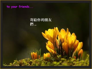 to your friends...



               寄給你 的朋友
               們 ..
 