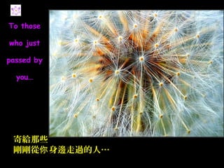 To those

who just

passed by

  you…




 寄給那些
 剛剛從你 身邊走過的人…
 