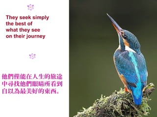 They seek simply
the best of
what they see
on their journey




他們僅能在人生的旅途
中尋找他們眼睛所看到
自以為最美好的東西。
 