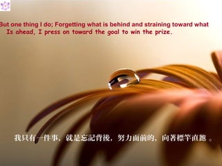 But one thing I do; Forgetting what is behind and straining toward what
  Is ahead, I press on toward the goal to win the prize.




     我只有一件事，就是忘記背後，努力面前的，向著標竿直跑 。
 