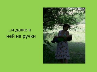 …и даже к
ней на ручки
 