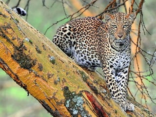 H Aφρική όπως δεν την έχετε δει ποτέ!