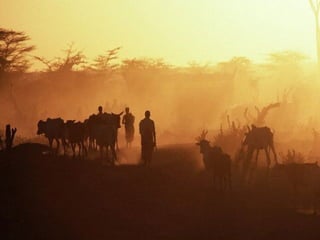 H Aφρική όπως δεν την έχετε δει ποτέ!