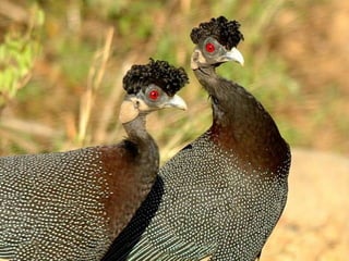 H Aφρική όπως δεν την έχετε δει ποτέ!