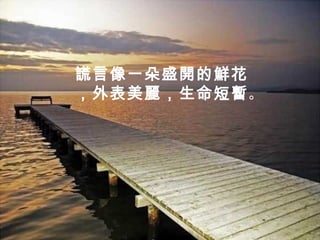 謊言像一朵盛開的鮮花
，外表美麗，生命短暫。
 