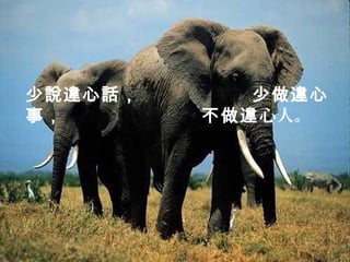 少說違心話，       少做 違心
事，       不做 違心人。
 