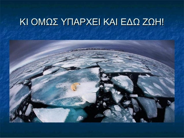 ΚΙ ΟΜΩΣ ΥΠΑΡΧΕΙ ΚΑΙ ΕΔΩ ΖΩΗ! 