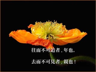 往而不可追者 , 年也，

去而不可見者 , 親也 !
 