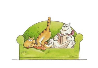 καστράτο   παρενοχλήσεις