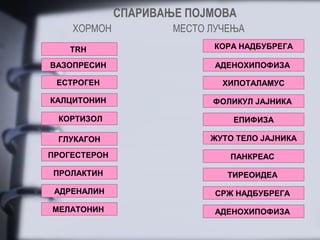 СПАРИВАЊЕ ПОЈМОВА
    ХОРМОН            МЕСТО ЛУЧЕЊА
    TRH                     КОРА НАДБУБРЕГА

ВАЗОПРЕСИН                   АДЕНОХИПОФИЗА

 ЕСТРОГЕН                     ХИПОТАЛАМУС

КАЛЦИТОНИН                  ФОЛИКУЛ ЈАЈНИКА

 КОРТИЗОЛ                       ЕПИФИЗА

 ГЛУКАГОН                   ЖУТО ТЕЛО ЈАЈНИКА

ПРОГЕСТЕРОН                    ПАНКРЕАС

ПРОЛАКТИН                      ТИРЕОИДЕА

 АДРЕНАЛИН                   СРЖ НАДБУБРЕГА

МЕЛАТОНИН                    АДЕНОХИПОФИЗА
 