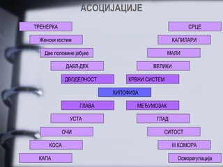 АСОЦИЈАЦИЈЕ
ТРЕНЕРКА                                             СРЦЕ

 Женски костим                                 КАПИЛАРИ

   Две половине јабуке                       МАЛИ

            ДАБЛ-ДЕК                  ВЕЛИКИ

            ДВОДЕЛНОСТ        КРВНИ СИСТЕМ

                          ХИПОФИЗА

                  ГЛАВА          МЕЂУМОЗАК

             УСТА                      ГЛАД

           ОЧИ                           СИТОСТ

     КОСА                                      III КОМОРА

 КАПА                                            Осморегулација
 